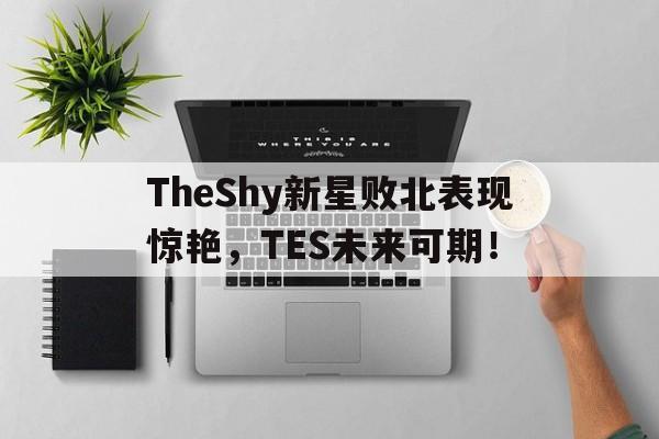 TheShy新星败北表现惊艳，TES未来可期！的简单介绍